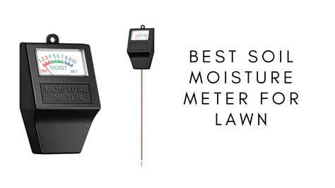 best moisture meter for lawns